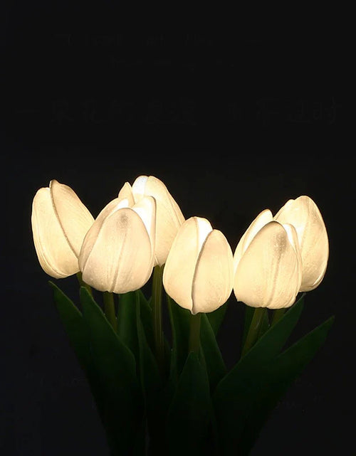 Load image into Gallery viewer, Tulip Night Light, Holiday Gifts
