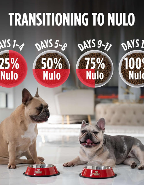 Load image into Gallery viewer, Adult Dog Food: Grain Free, All Natural Dry Pet Kibble for Large and Small Breed Dogs - Lamb, Salmon, or Turkey Recipe
