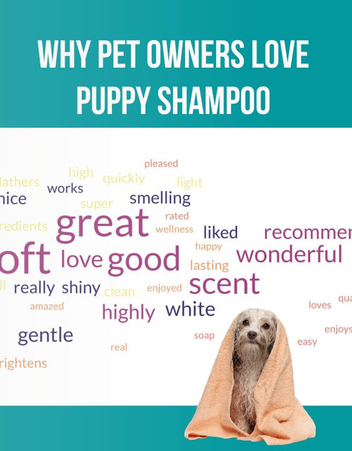 Load image into Gallery viewer, 1 Gallon Tearless Puppy Shampoo and Conditioner - anti Itch Dog Shampoo Sensitive Skin - Coconut Oil Oatmeal Pet Shampoo for Puppies
