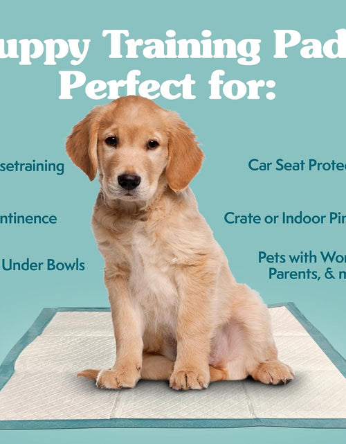Load image into Gallery viewer, Extra Large Pee Pads for Dogs, Puppy Potty Training, Leak Proof Dog Pads, Pet Pee Pad, Disposable Puppy Pad, XLARGE 28&quot;X30&quot;
