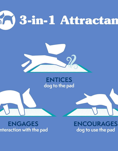 Load image into Gallery viewer, Extra Large Pee Pads for Dogs, Puppy Potty Training, Leak Proof Dog Pads, Pet Pee Pad, Disposable Puppy Pad, XLARGE 28&quot;X30&quot;
