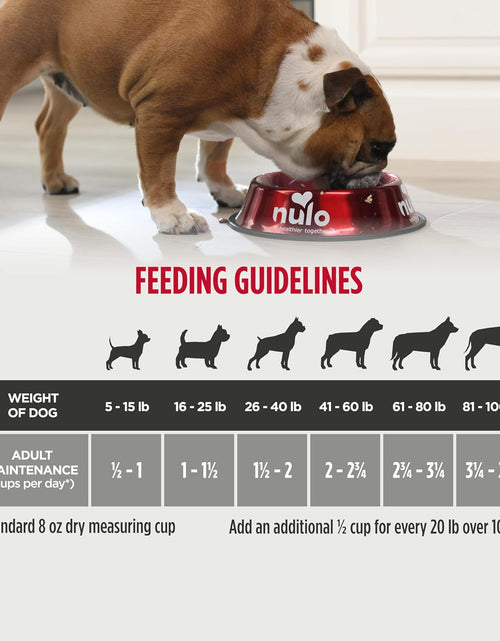 Load image into Gallery viewer, Adult Dog Food: Grain Free, All Natural Dry Pet Kibble for Large and Small Breed Dogs - Lamb, Salmon, or Turkey Recipe
