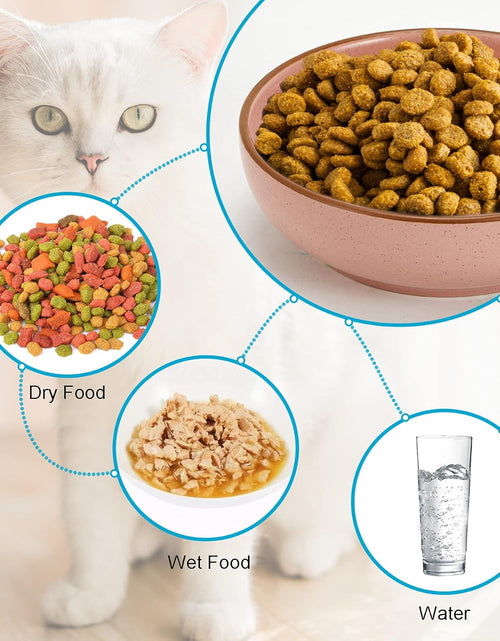 Load image into Gallery viewer, Ceramic Cat Bowls, Howise Pet Bowl Cat Dishes for Food and Water, 5.19 in Cat Food Bowl 3 Pack Pet Dishes for Cats Puppy, Matte Pink Finish
