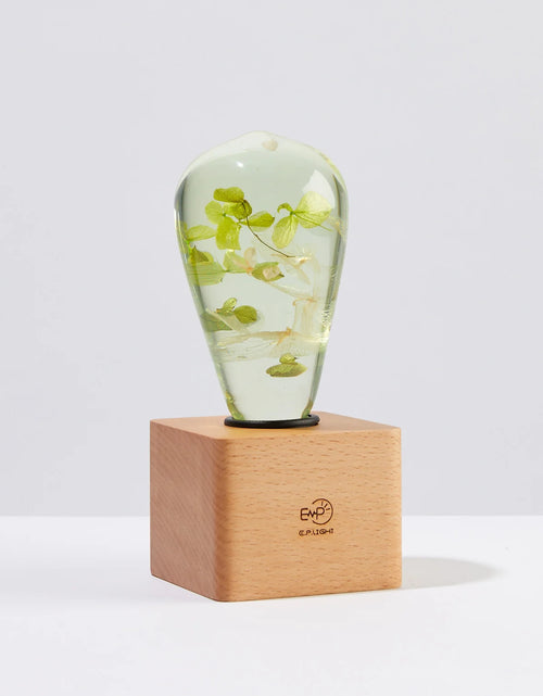 Load image into Gallery viewer, EP Light - White Hydrangea
