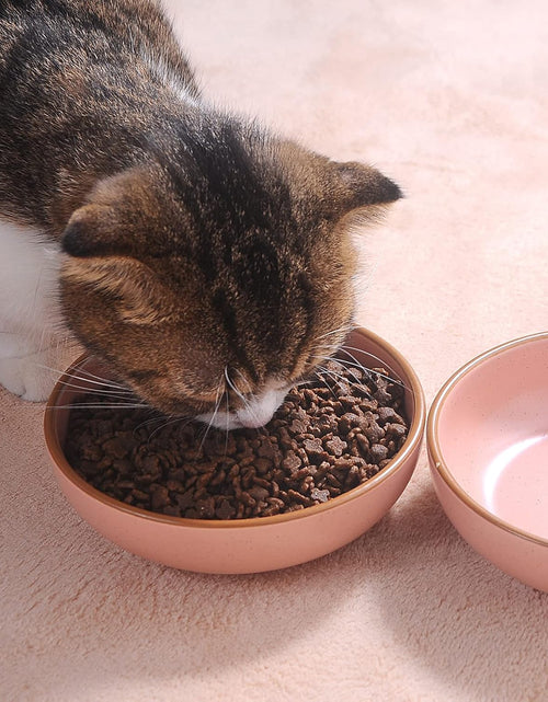 Load image into Gallery viewer, Ceramic Cat Bowls, Howise Pet Bowl Cat Dishes for Food and Water, 5.19 in Cat Food Bowl 3 Pack Pet Dishes for Cats Puppy, Matte Pink Finish

